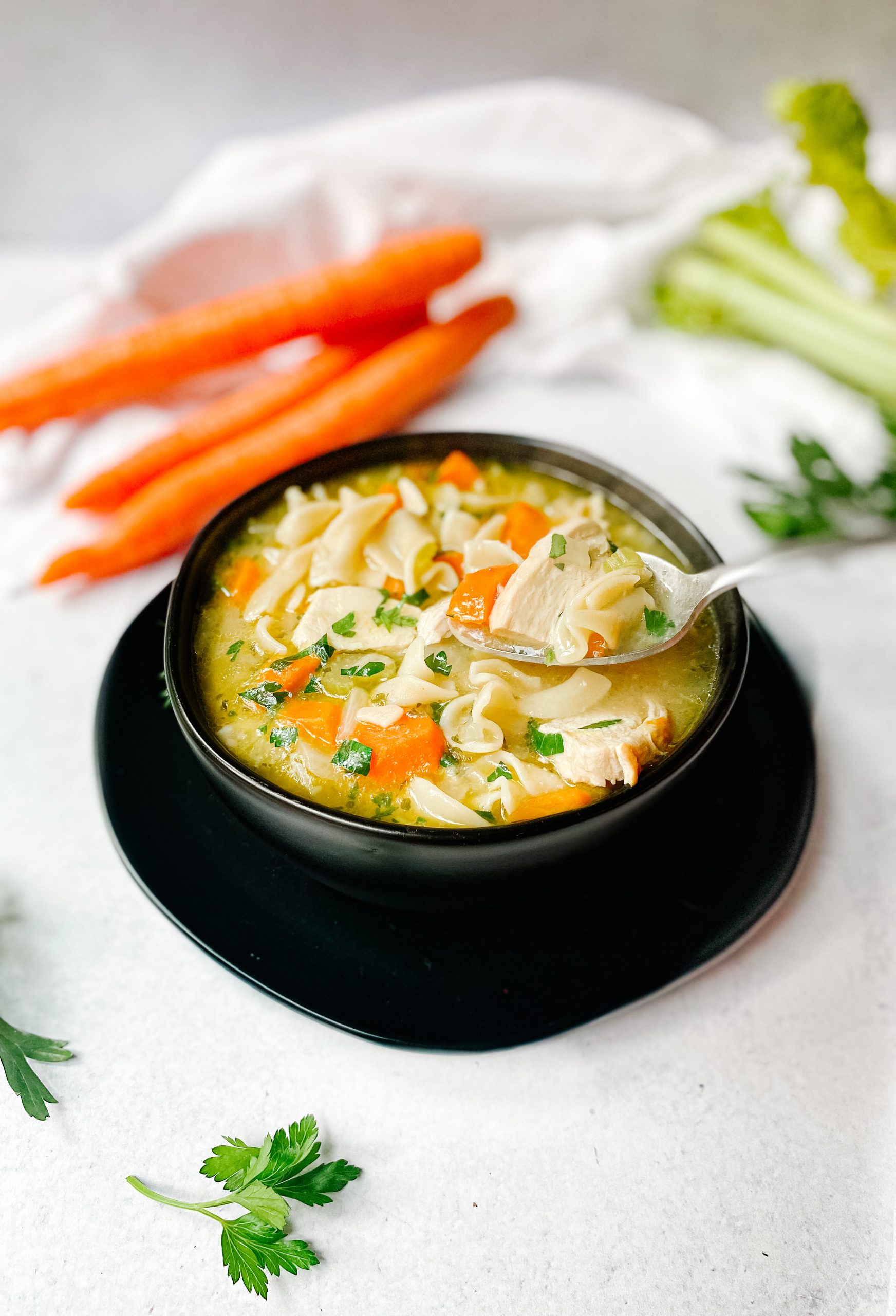 https://plumstreetcollective.com/wp-content/uploads/2022/11/Easy-Chicken-Noodle-Soup-13-scaled.jpg
